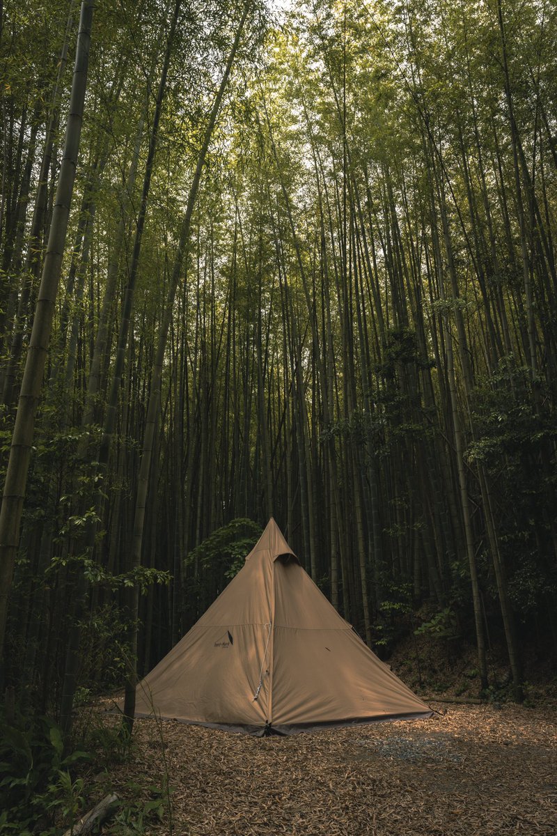 竹林キャンプにハマってる🎋🏕️