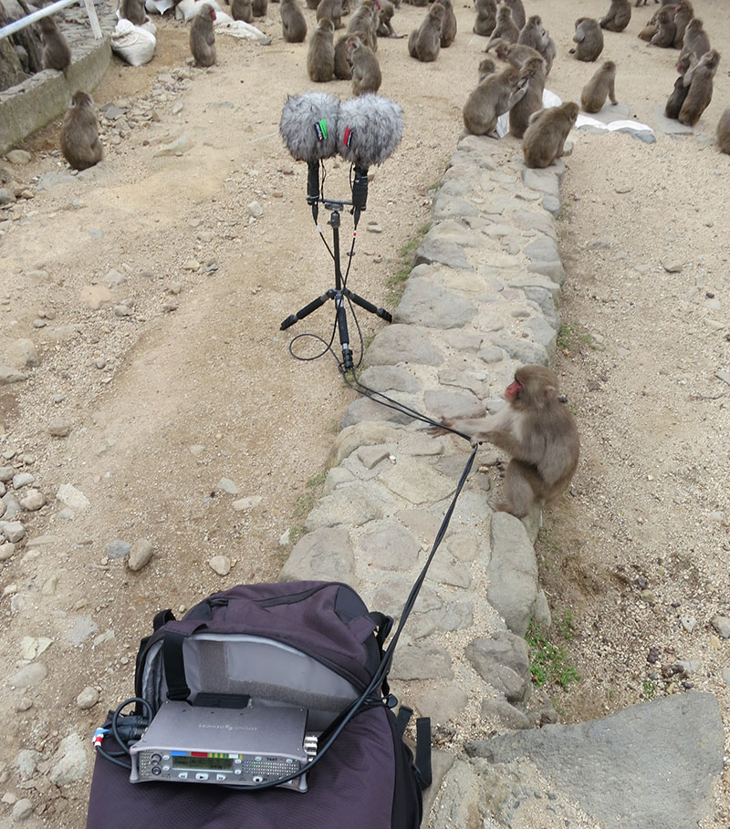 timprebble's tweet image. This is what happens when you pay peanuts...
#fieldrecording