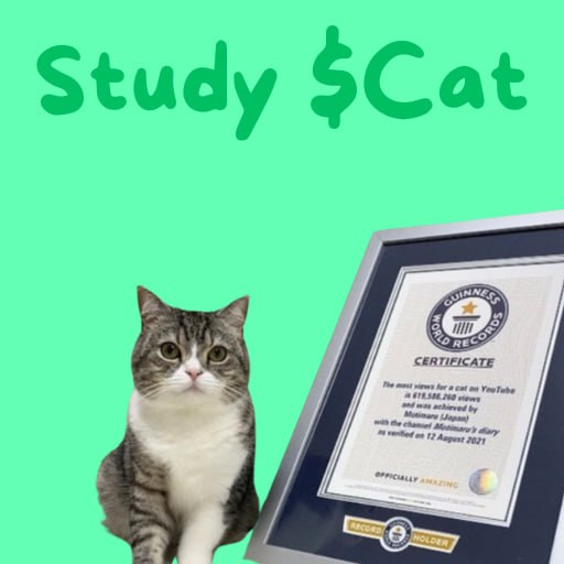 CatMaruX's tweet photo. @MoonOverlord celebrity kitty  

study $Cat https://t.co/wRG8dxYsaG