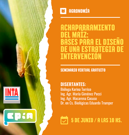 Próxima semana, <a href="/consejocpia/">CPIA 🇦🇷</a> + <a href="/intaargentina/">INTA</a> organizan seminario virtual  gratuito sobre #AchaparramientoMaiz