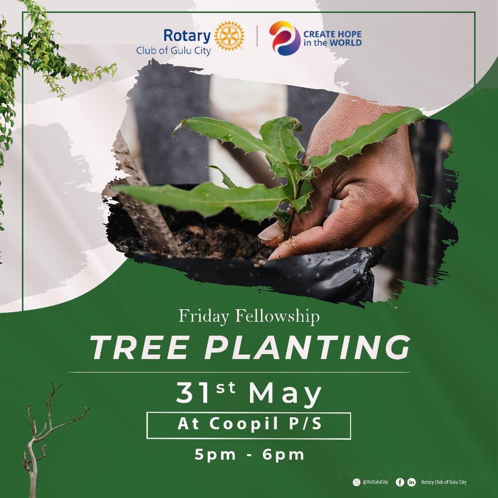 Bea and I would like to thank the Rotary Club of Gulu City for this gift in defence of the environment. In lieu of gifts they have chosen to carry out the noble act of planting one acre of trees at the nearby Coopil Primary School which near the reception venue in our village.