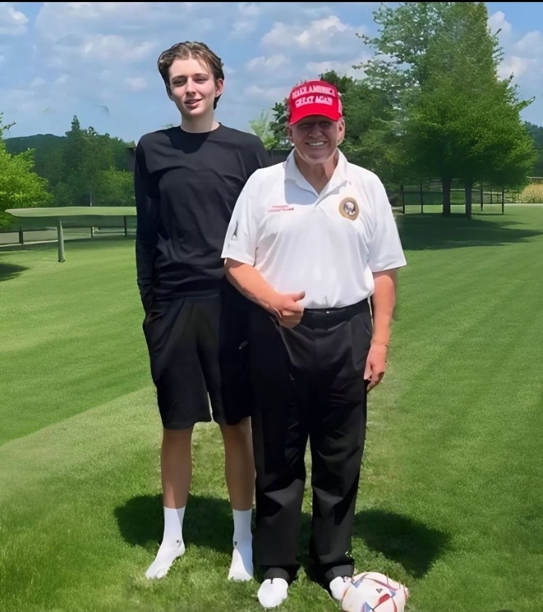 SUBRATA30016572's tweet image. Will you be voting for Mr. Trump this November? 

Yes or No