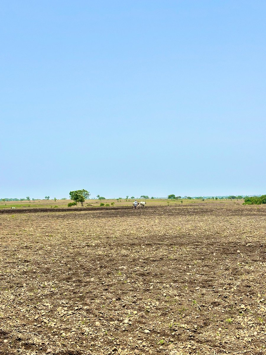 Farmer having faith on Nature as he sow seeds awaiting for the first rain of the season!
#Kalaburagi 
#Karnataka