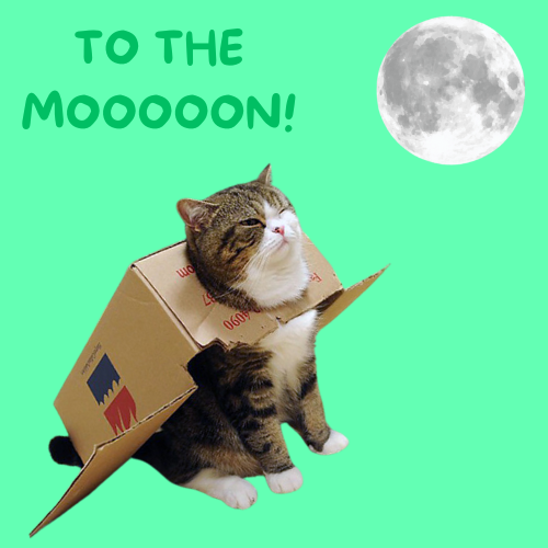 CatMaruX's tweet photo. @MikeyTrading $Cat https://t.co/WkgBUQyR2k