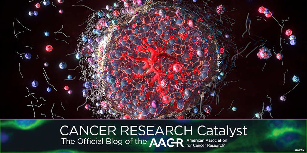 The first TIL therapy was approved this year to treat #melanoma. Learn about the three decades of research that led to this historic moment on the #AACRBlog: bit.ly/4c2Ufdv #MelanomaAwarenessMonth @theNCI