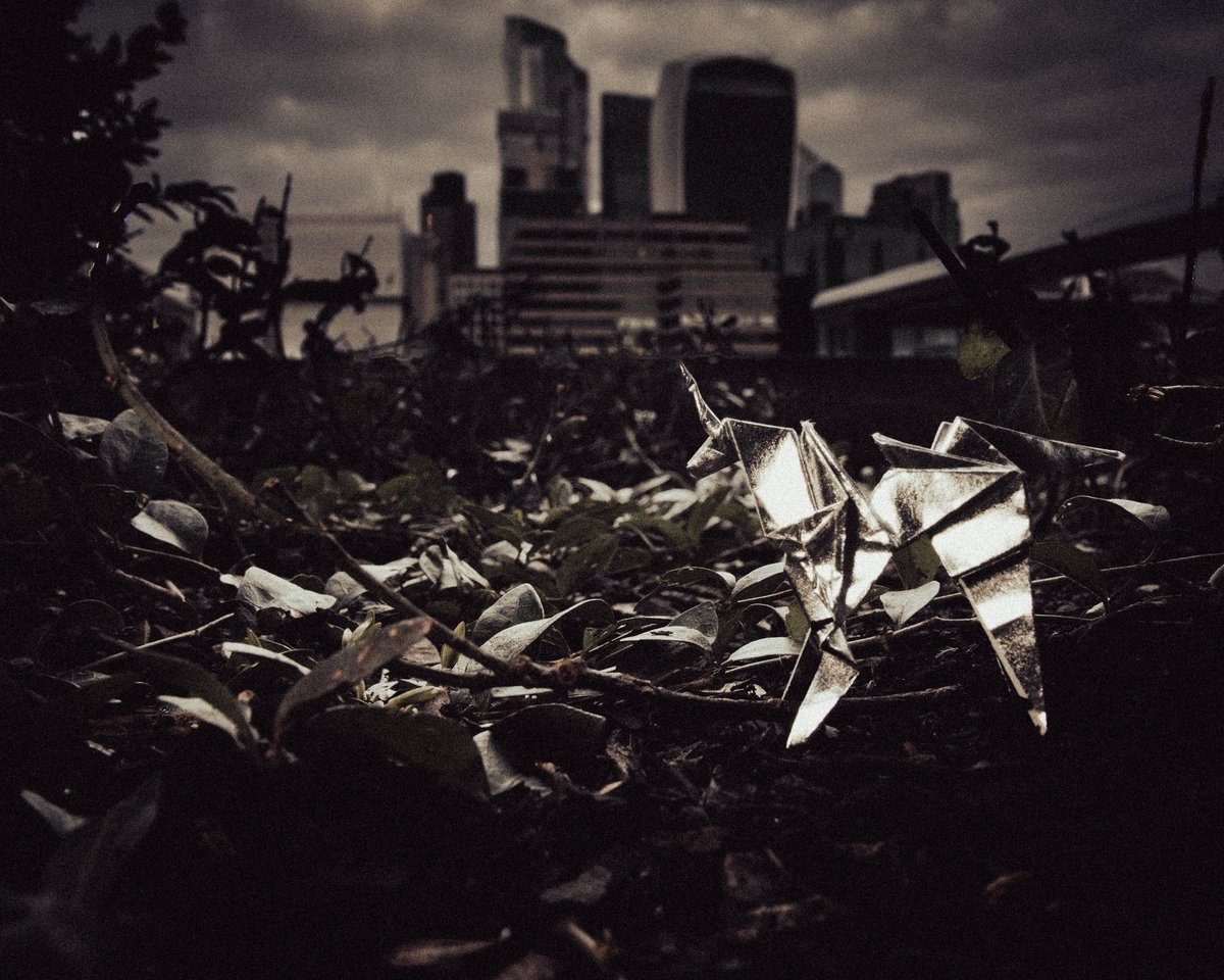 Jungle #streetphotography #urbanphotography #origami #unicorns #hiddeninplainsight #hiddenart #differentperspective #londonlife #london