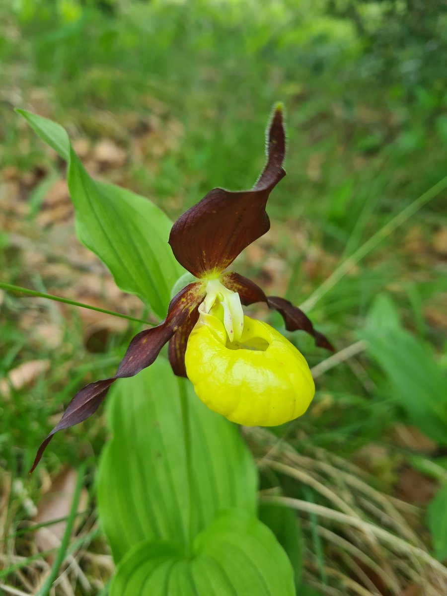 George Allen (he/him) tweet media