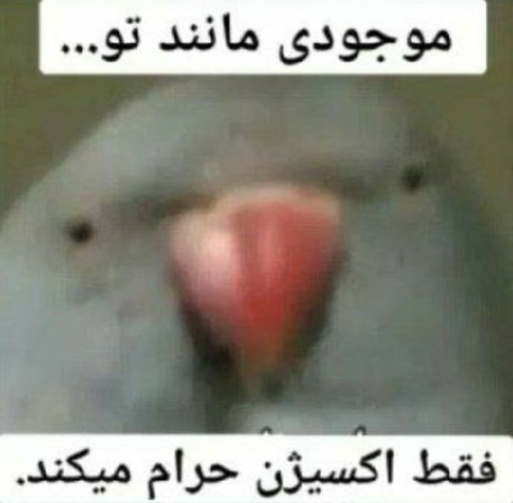 Abbas_cod's tweet photo. @rita_hsmi https://t.co/lJ2X8OoxWk