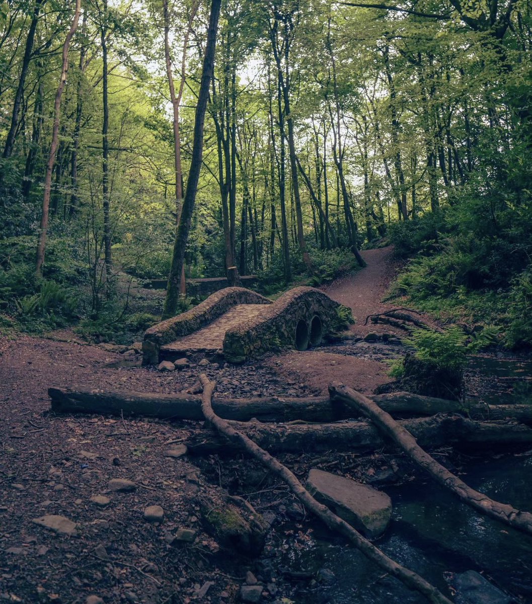 visit_armagh's tweet photo. Discover the serene beauty of Clare Glen ❤️ 🌳 

📸 Credit to jim.harte.shots for this beautiful shot!

#discoverni #northernireland #ireland #explorearmagh #embracegiantspirit #fillyourheartwithireland #instatravel https://t.co/IjPj6Ao9W0