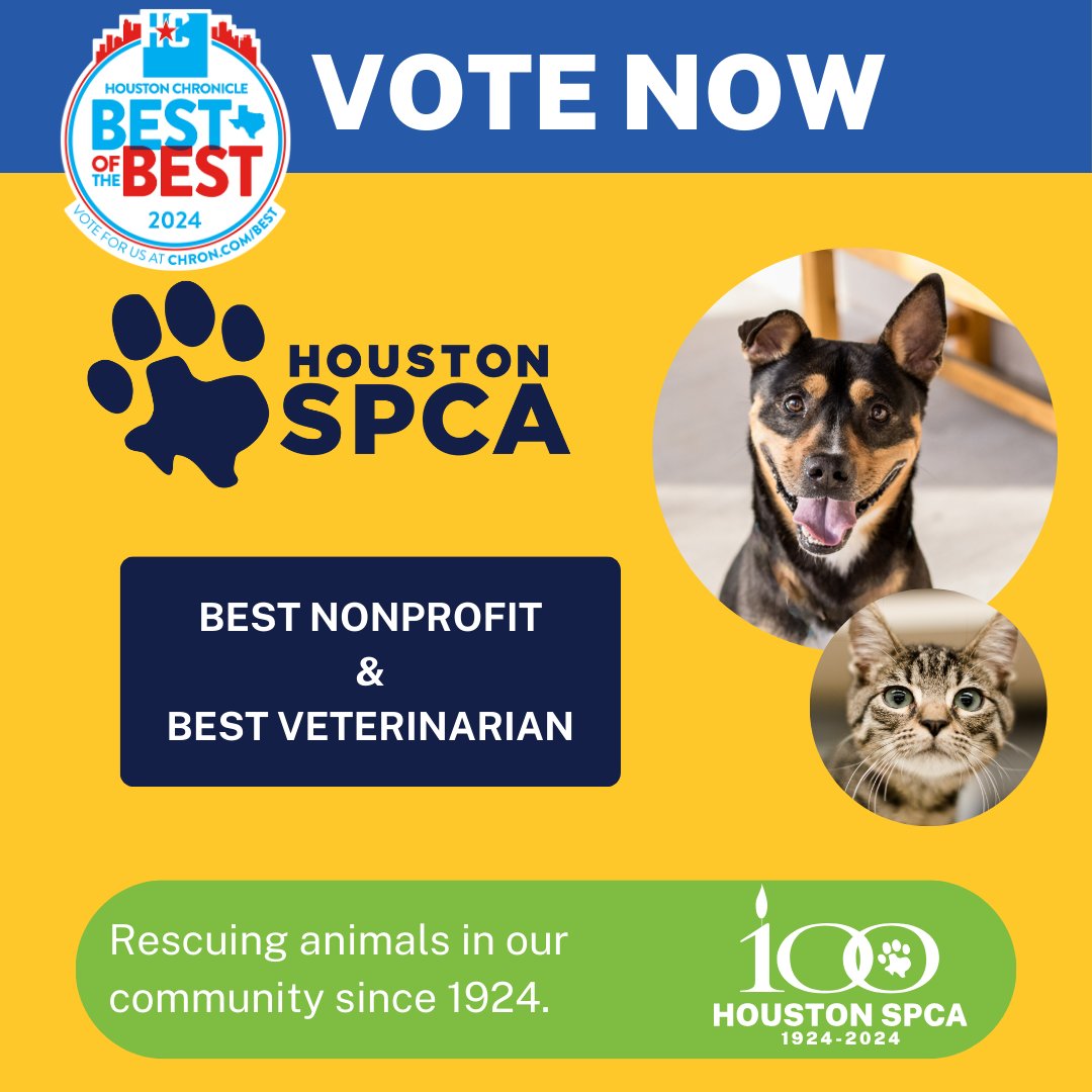 LAST FULL DAY! Voting ends at NOON tomorrow! We need our community of supporters to help VOTE us as THE BEST OF THE BEST in Houston! We are a top 5 Finalist in BOTH Categories BEST NONPROFIT and BEST VETERINARIAN. #BestOfHouston houstonspca.org/best-of-the-be…