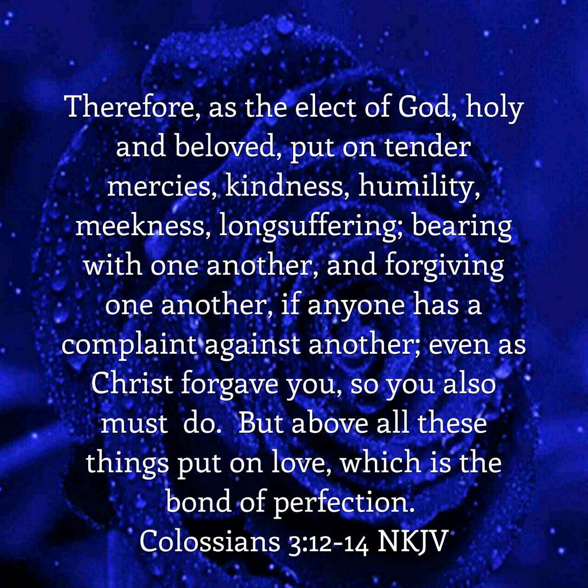Colossians 3:12-14 NKJV [12] Therefore, as the elect of God, holy and beloved, put on tender mercies, kindness, humility, meekness, longsuffering; [13] bearing with one another, and forgiving one another, if anyone has a complaint against another; even as Christ forgave you,