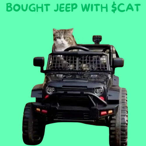 CatMaruX's tweet photo. @realdogen jeep soon $Cat https://t.co/VFw8O1xBh8