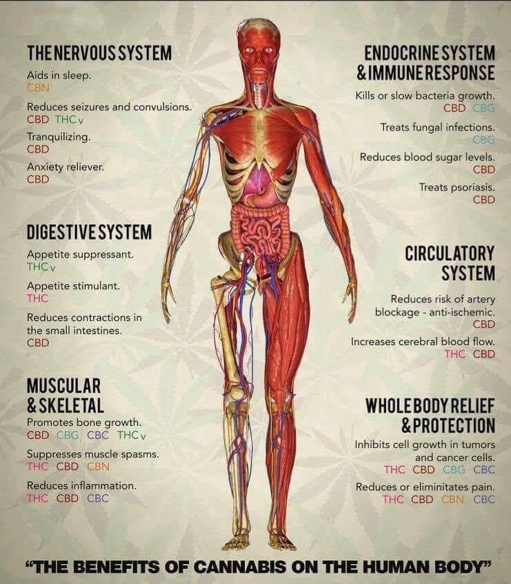 40_todd's tweet photo. @Darrell65167496 I found this interesting. https://t.co/SK2MO1xvGC
