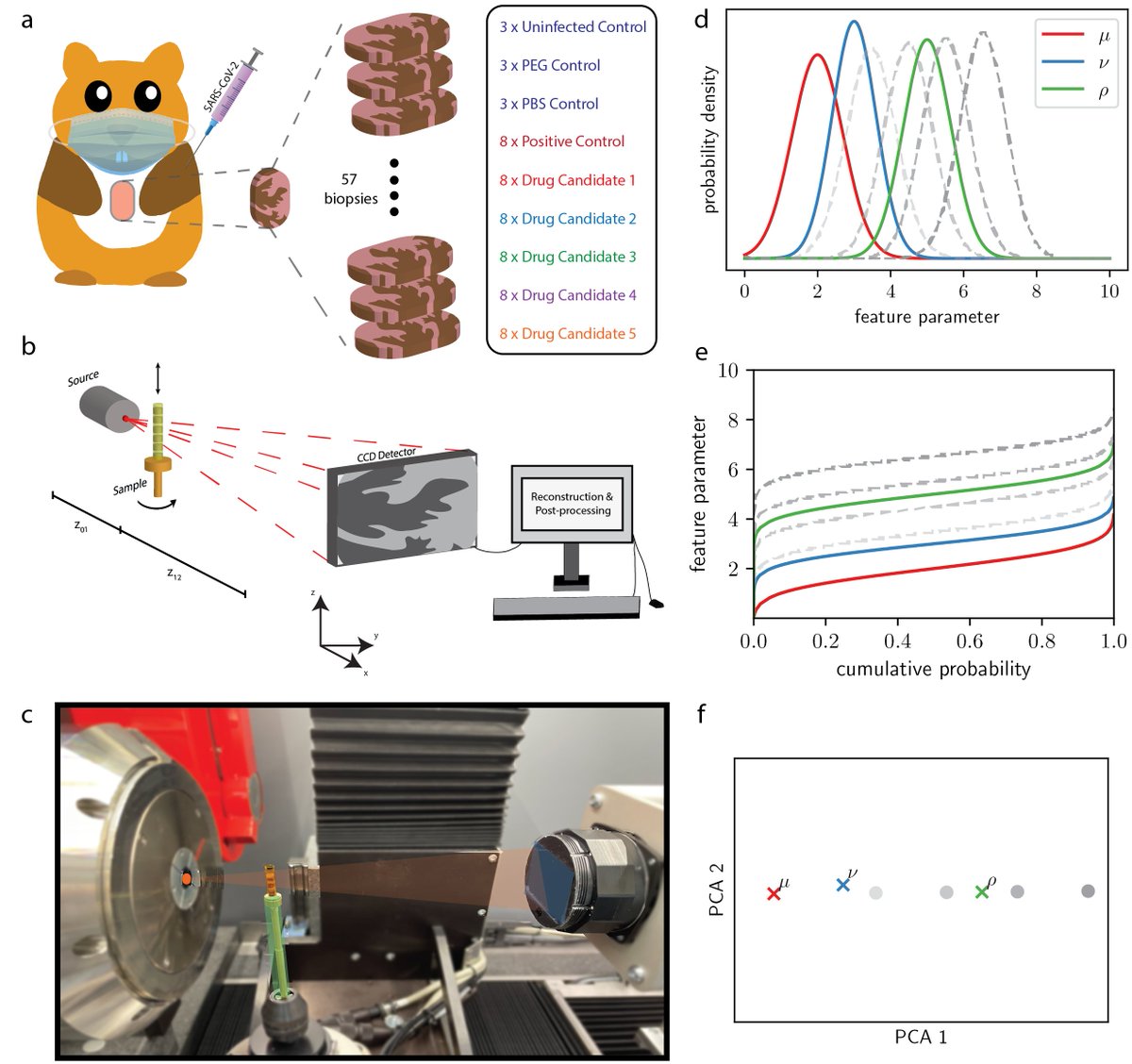 High-throughput, quantification &amp; classification of soft tissue samples are key for #biomedical studies. Here, we present a laboratory #XPCT #imaging &amp; analysis workflow for 3D #histology (e.g., for #SARSCov2 drug testing): rdcu.be/dJlqV

<a href="/uniGoettingen/">Uni Göttingen</a> <a href="/Loeffler_News/">Friedrich-Loeffler-Institut</a>