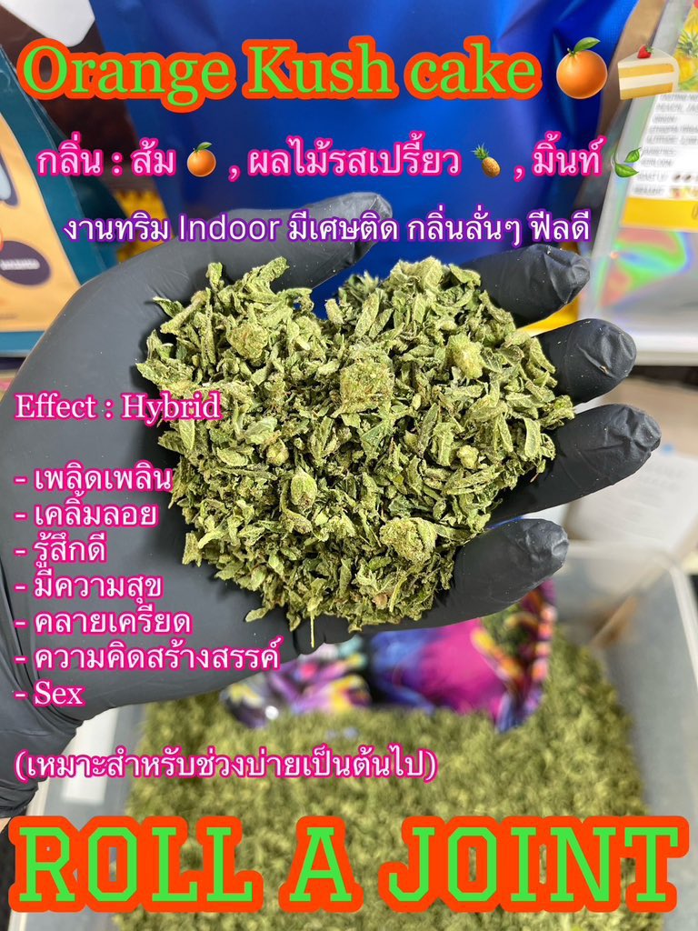 Bobby girl 🦕☄️🪐🥦 tweet media