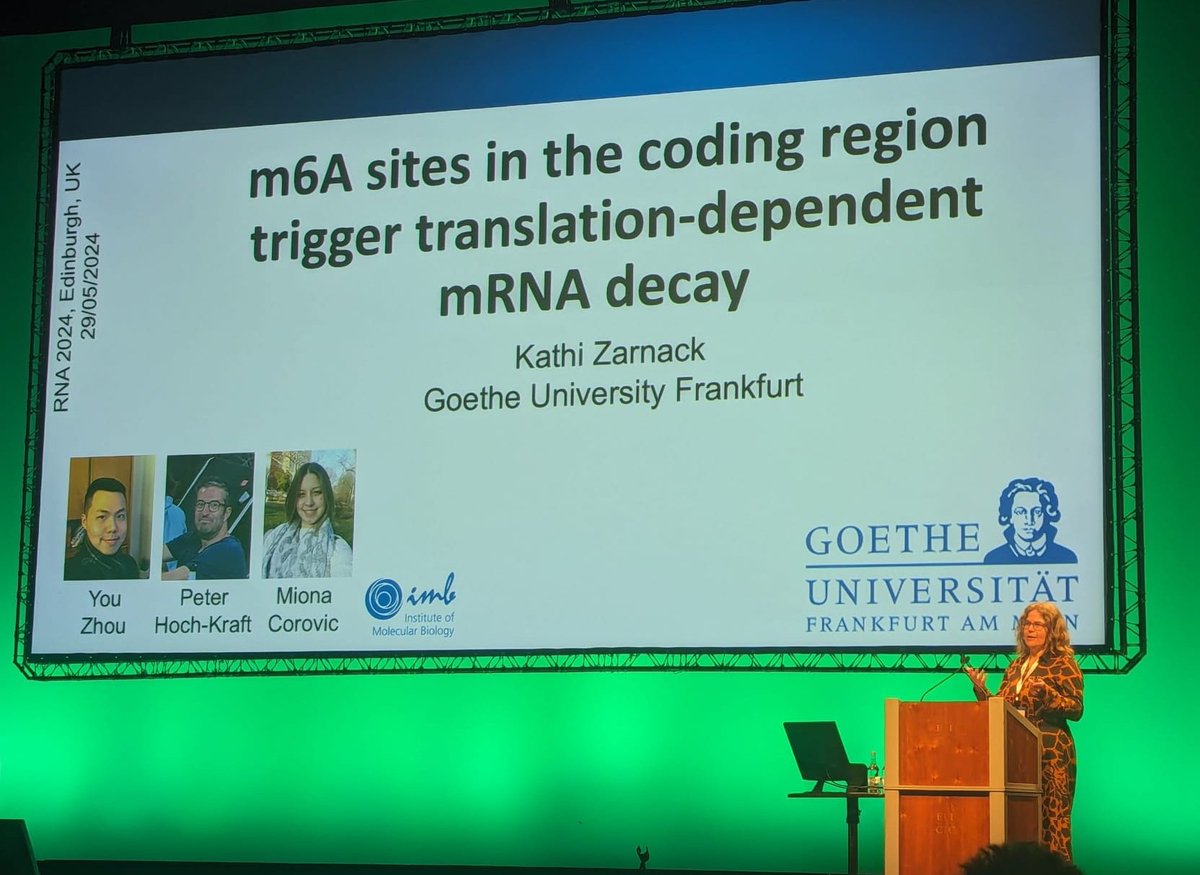 Kathi presenting our joint work on #m6A and #RNA decay at the #RNA24 Meeting. Thank you organisers and @RNASociety for this great meeting!