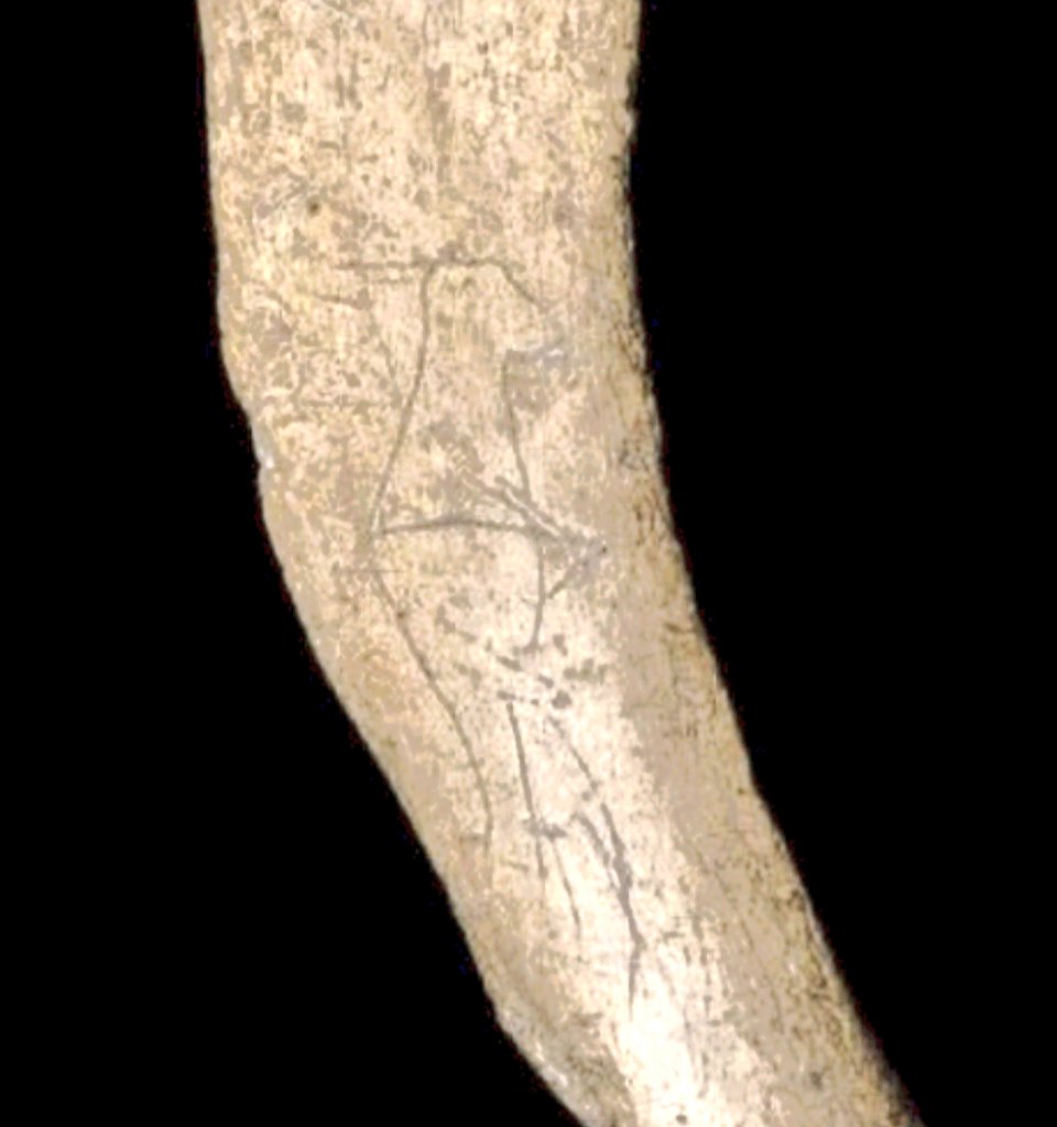 Some pins from Pin Hole Cave. Visitors would leave a pin and take one left by someone else for good luck.

A 12,000 year old woolly rhino rib was found there with a carving of a man, with a notable phallus. Pleasing crossover of #FolkloreThursday and #PhallusThursday.