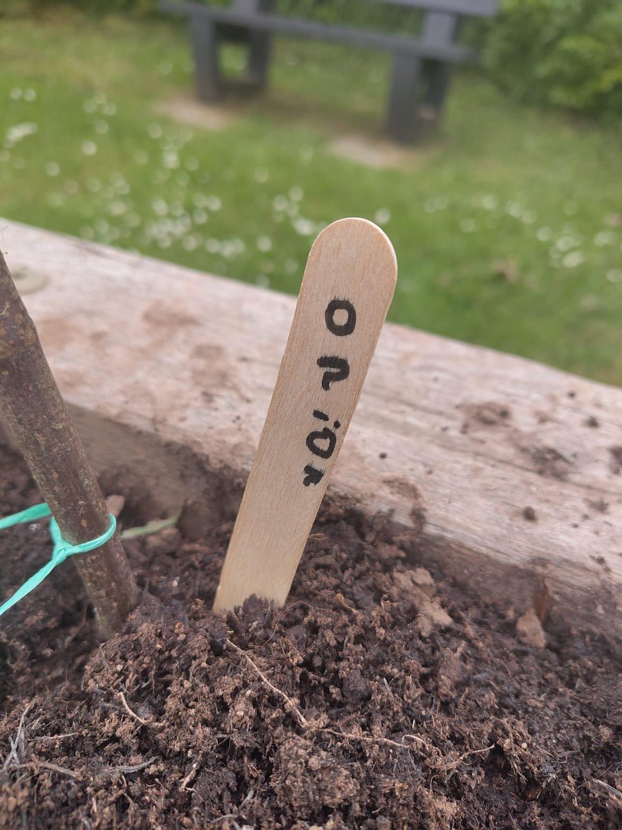 Monmouthshire LNP tweet media