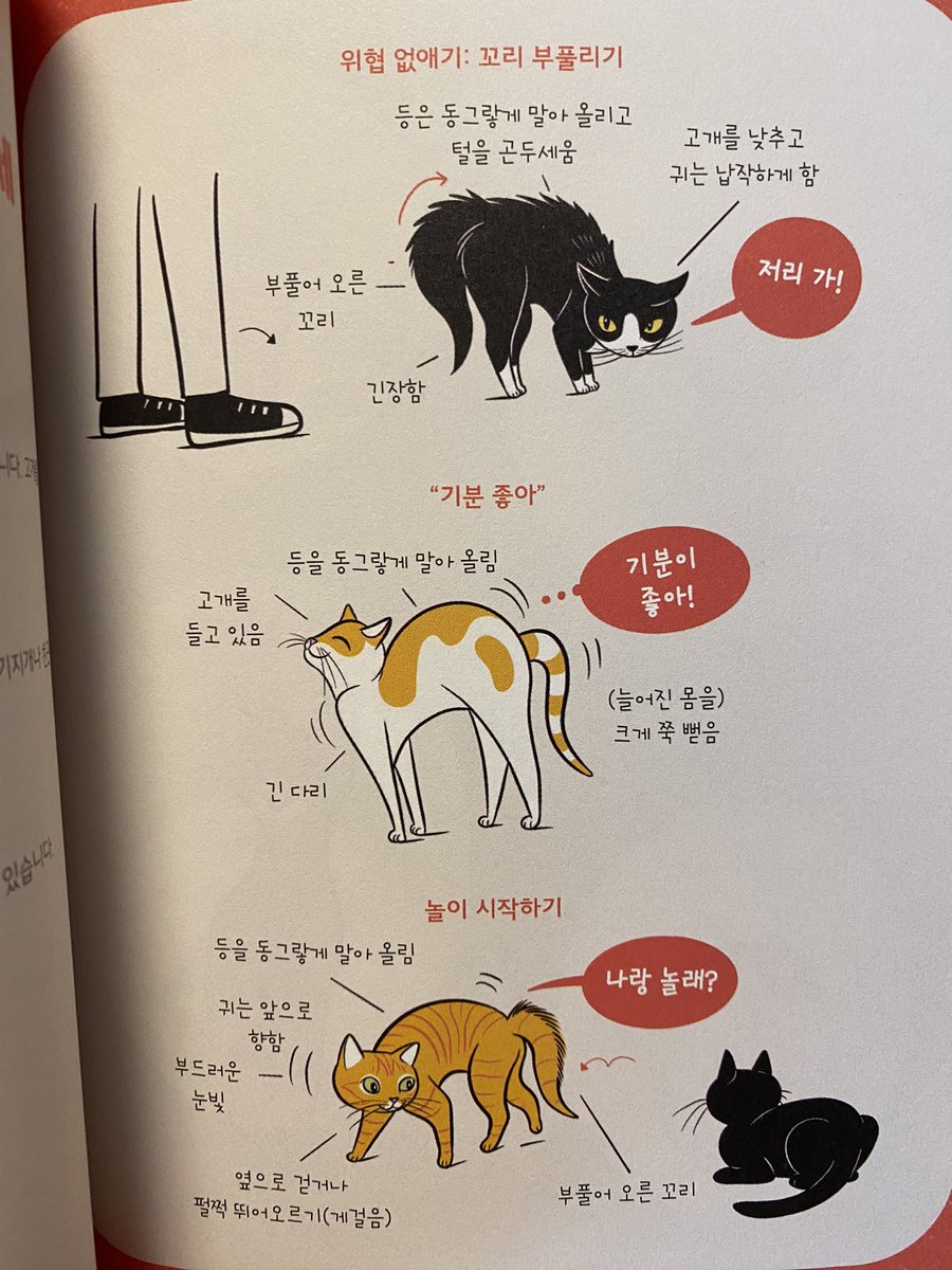pinpinlulu's tweet photo. 영진닷컴(@ydot2)에서 신간 도서 “나도 고양이 말 할 수 있어“를 보내주셨어요. 고양이가 울음과 행동으로 표현하는 언어를 귀여운 일러스트와 함께 알려주는 책입니다. 고양이를 잘 아시는 분, 초보자 모두 재미있게 보실 수 있을 것 같아요😄 이 트윗을 RT하시면 5분을 추첨해서 책을 보내드립니다. https://t.co/9qwUyFwlVq