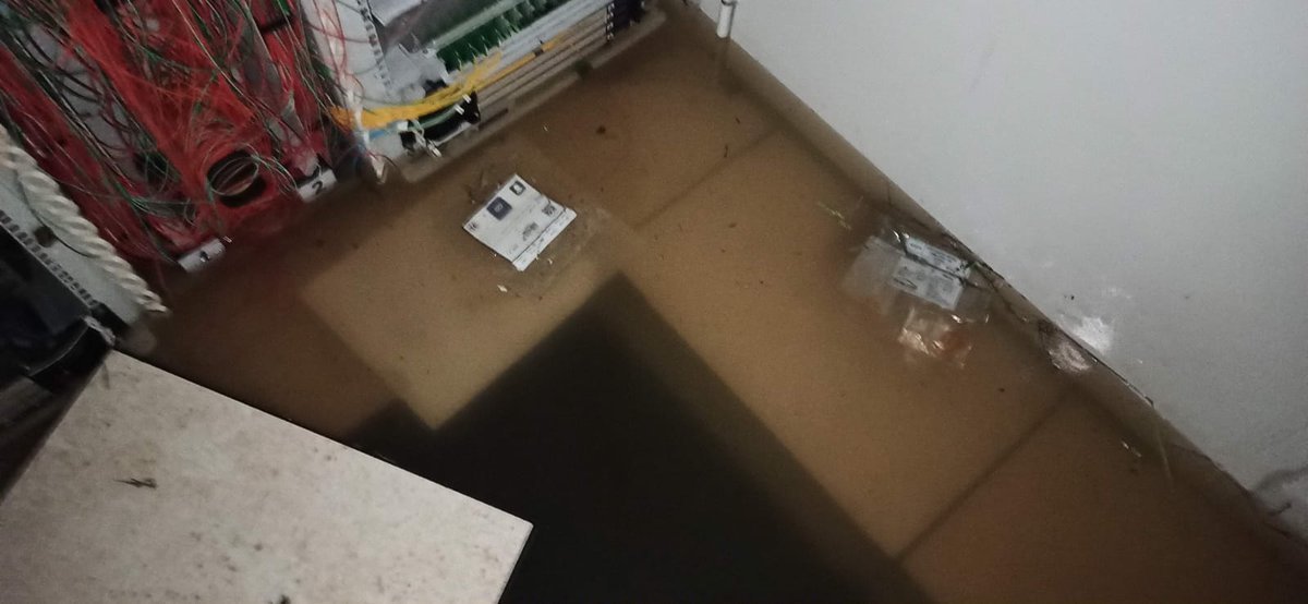 Free 1337 tweet media