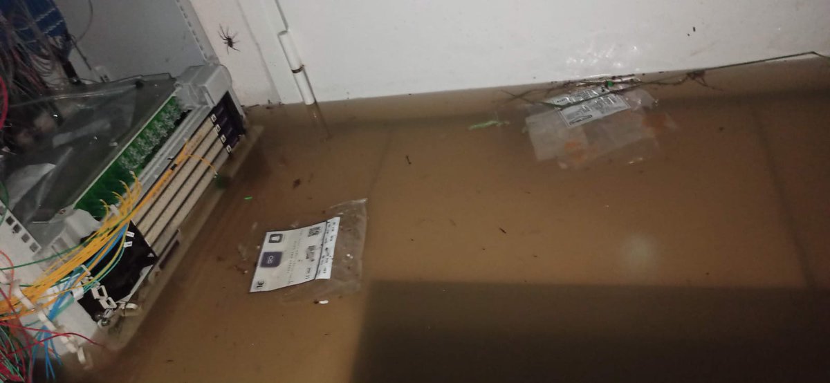 Free 1337 tweet media