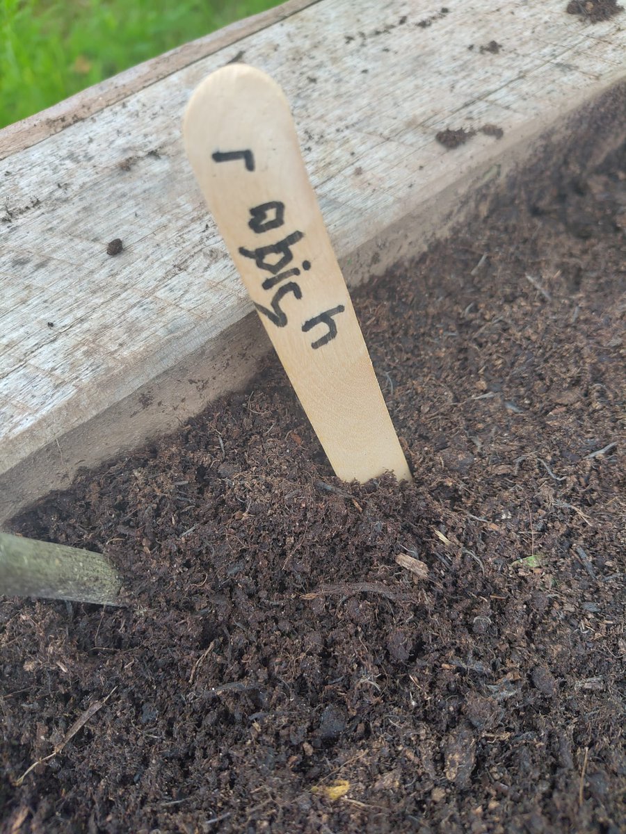 Last week we were joined by reception students from Pembroke Primary to plant vegetable seeds into the community planters at Strongbow Road Community Nature Space in Chepstow.

Thanks to their hard work and some rain over the weekend, the seeds have now started to germinate!