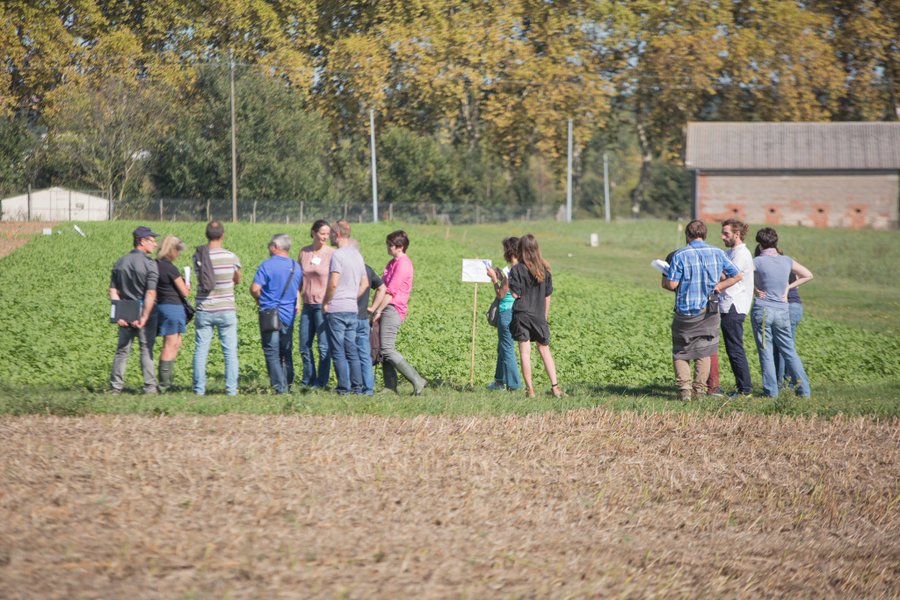 INRAE Occitanie-Toulouse tweet media