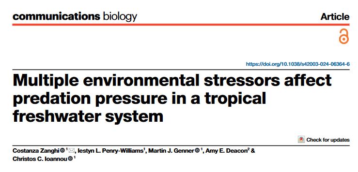 Costanza Zanghí (@coszan) on Twitter photo Out now 📣 new paper from my PhD:
www-nature-com.bris.idm.oclc.org/articles/s4200…
Big thanks to coauthors <a href="/C_C_Ioannou/">Christos Ioannou</a>, <a href="/amy_e_deacon/">Amy Deacon</a>, Iestyn P-W & Martin Genner.
<a href="/CommsBio/">Communications Biology</a> <a href="/BristolBioSci/">University of Bristol Biological Sciences</a> <a href="/UWI_StAugustine/">UWI St. Augustine</a> <a href="/GW4FreshCDT/">GW4 Fresh CDT</a>
Let’s take a trip together to the fabulous Northern Range in Trinidad 🇹🇹…
🧵1/10 Out now 📣 new paper from my PhD:
www-nature-com.bris.idm.oclc.org/articles/s4200…
Big thanks to coauthors <a href="/C_C_Ioannou/">Christos Ioannou</a>, <a href="/amy_e_deacon/">Amy Deacon</a>, Iestyn P-W & Martin Genner.
<a href="/CommsBio/">Communications Biology</a> <a href="/BristolBioSci/">University of Bristol Biological Sciences</a> <a href="/UWI_StAugustine/">UWI St. Augustine</a> <a href="/GW4FreshCDT/">GW4 Fresh CDT</a>
Let’s take a trip together to the fabulous Northern Range in Trinidad 🇹🇹…
🧵1/10