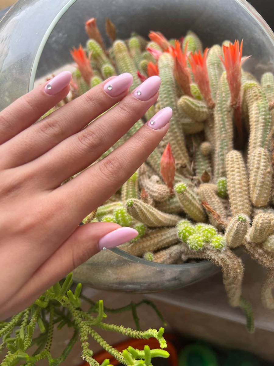 زَنِ سابِقِ زَرافه ی خانِگی tweet media