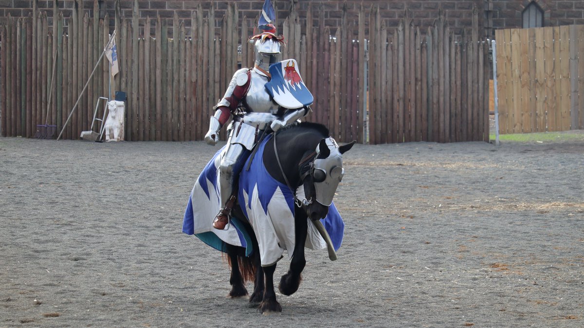 365DaysofSport's tweet image. As most people know Beefy is officially "The World's Biggest Sports Fan"
So when the Australian Jousting Championships are in town, he's the Number 1 ticket holder!
@abcsport &amp;amp; @abcmelbourne throw Beefy into the mix to check out Jousting and report back!
open.spotify.com/episode/7IcmYD…