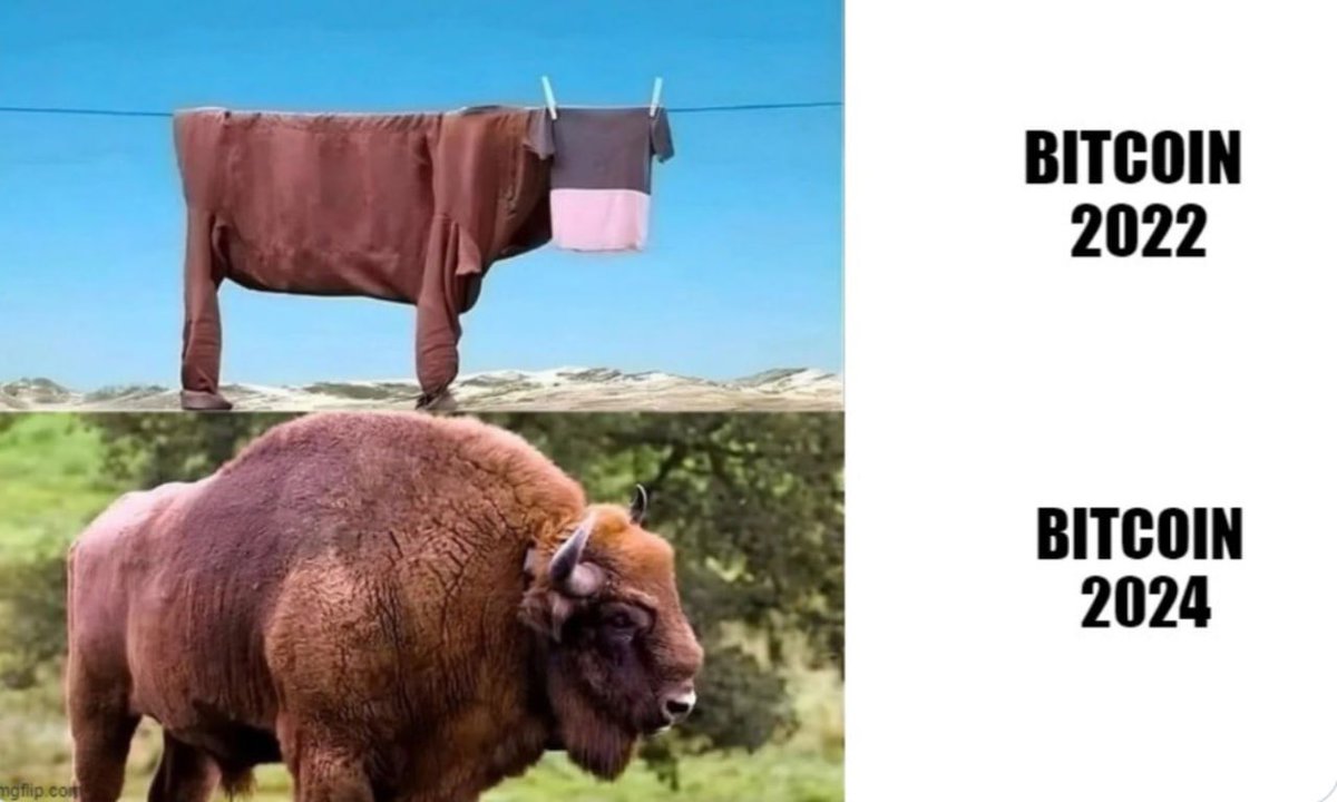 Bitcoin #BITCOIN #MEMECOİN