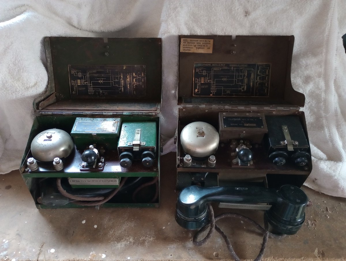 Simon 🐝 Temple @simonbtemple@mstdn.social tweet media