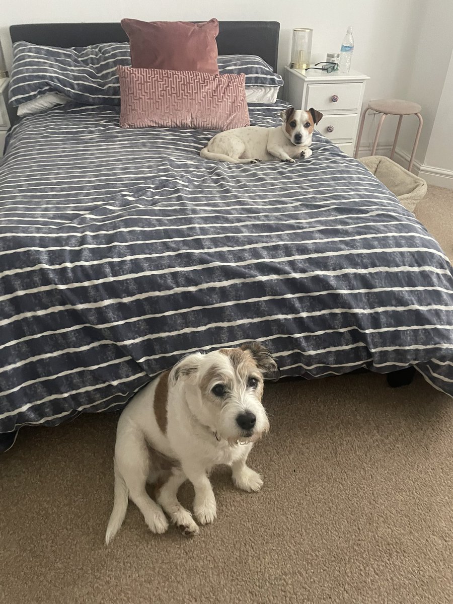 Bit worried where the treat funds are comin’ from if the hoos are at home all week 🤔