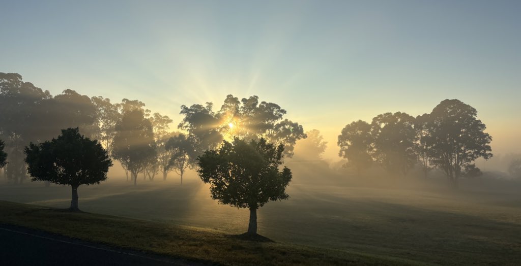 Emma Snell (@emmasnelltqa) on Twitter photo Some mornings you just have to stop and breathe. It’s beautiful here on Dharug land as I pass buru (kangaroo) doing their thing in the peace of sunrise ☀️ NOW MORE THAN EVER, I thank those who have cared for this land for many thousands of years #NRW2024 <a href="/NSWEducation/">NSW Dept of Education</a> Some mornings you just have to stop and breathe. It’s beautiful here on Dharug land as I pass buru (kangaroo) doing their thing in the peace of sunrise ☀️ NOW MORE THAN EVER, I thank those who have cared for this land for many thousands of years #NRW2024 <a href="/NSWEducation/">NSW Dept of Education</a>