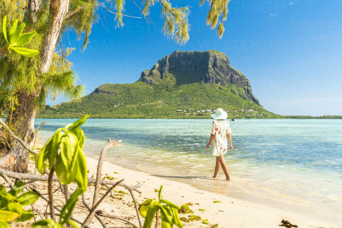Mauritius Island tweet media