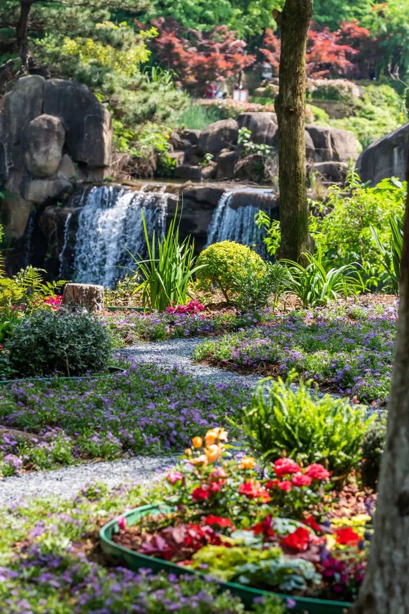 SND_China's tweet photo. Escape from the hustle and bustle of the city for a while and spend the weekend unwinding in the lush vegetation🌳🌿🍃and blooming verbena flowers of #Suzhou New District (#SND)!💜 #VisitSND https://t.co/TDxX8vgr7a