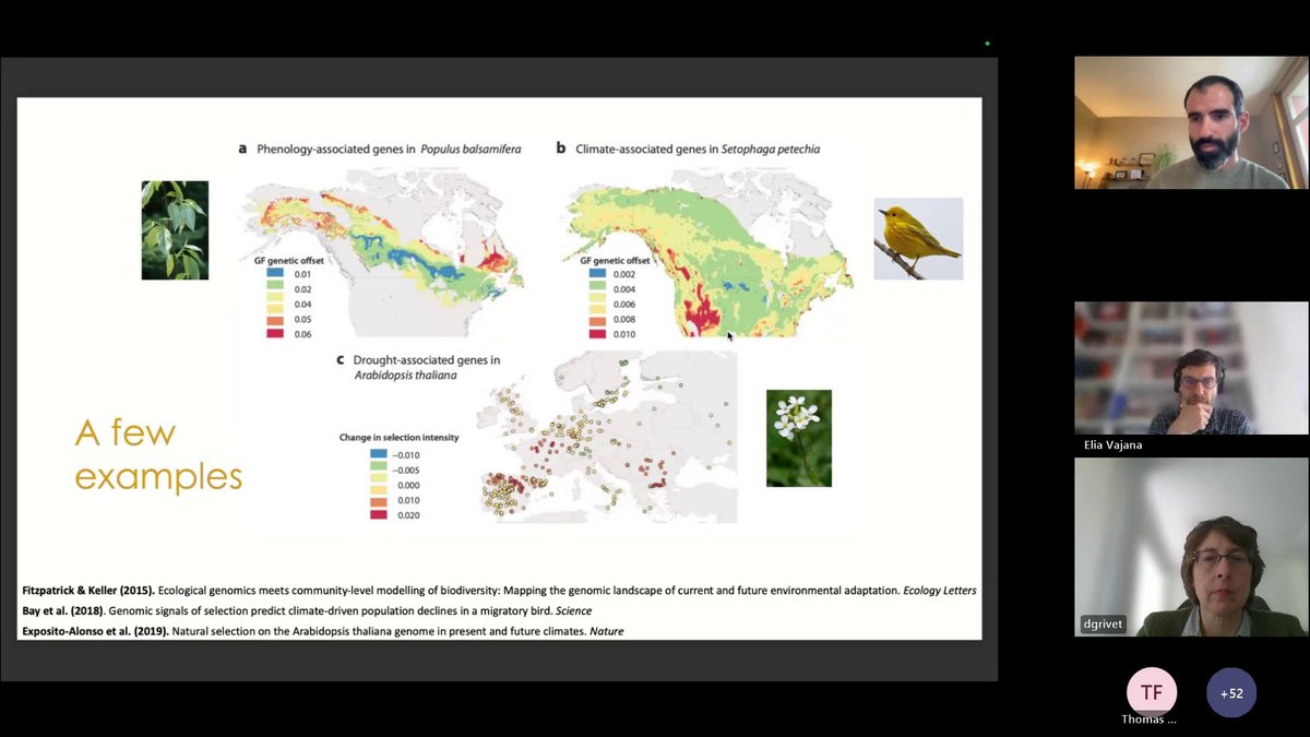 FORGENIUS_EU's tweet photo. 📢Exciting insights from the latest #FORGENIUS Webinar!
Dr Capblancq & Dr Vajana showcased groundbreaking research using the #genomic offset metric🔬🧬 to predict species' #ClimateChange vulnerability⚠️🌡️🌍
Learn more and watch the recording!👉https://t.co/ob9xQHaXn6 https://t.co/ng0iUx75Mr