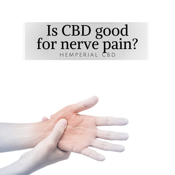 HemperialCBD's tweet photo. Is CBD good for nerve pain?
https://t.co/0u2le5sDZV https://t.co/zzOz04CfZd