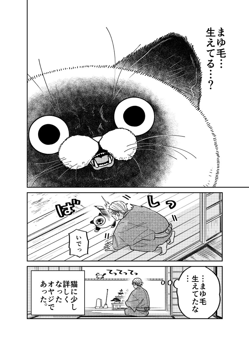 野良猫の寝相に夢中な元極道の話。

(3/3)

#漫画が読めるハッシュタグ 