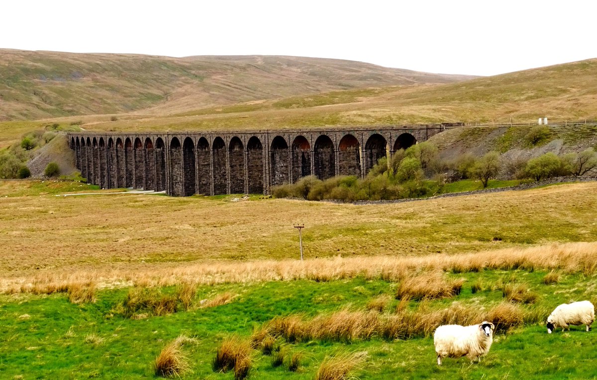 The stark landscape of the RibbleheadViaduct for this week's #AlphabetChallenge - letter V for #Viaduct! 🤎🐑💚🚂🤎 @ThePhotoHour #Yorkshire