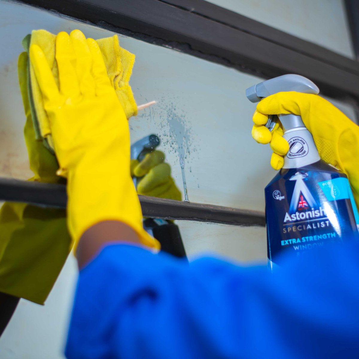onuscleaning's tweet photo. We do home cleaning at very Avodable prices. 2bdr starting with 2,500 3bdr starting from 3k  4bdr starting from 4,500 et al.
We have options for weekly, monthly or according to customer request.#thebestcleaningcompany
#cleaning101

Ramaphosa nkuku kibet malema https://t.co/W3I9WT9m40