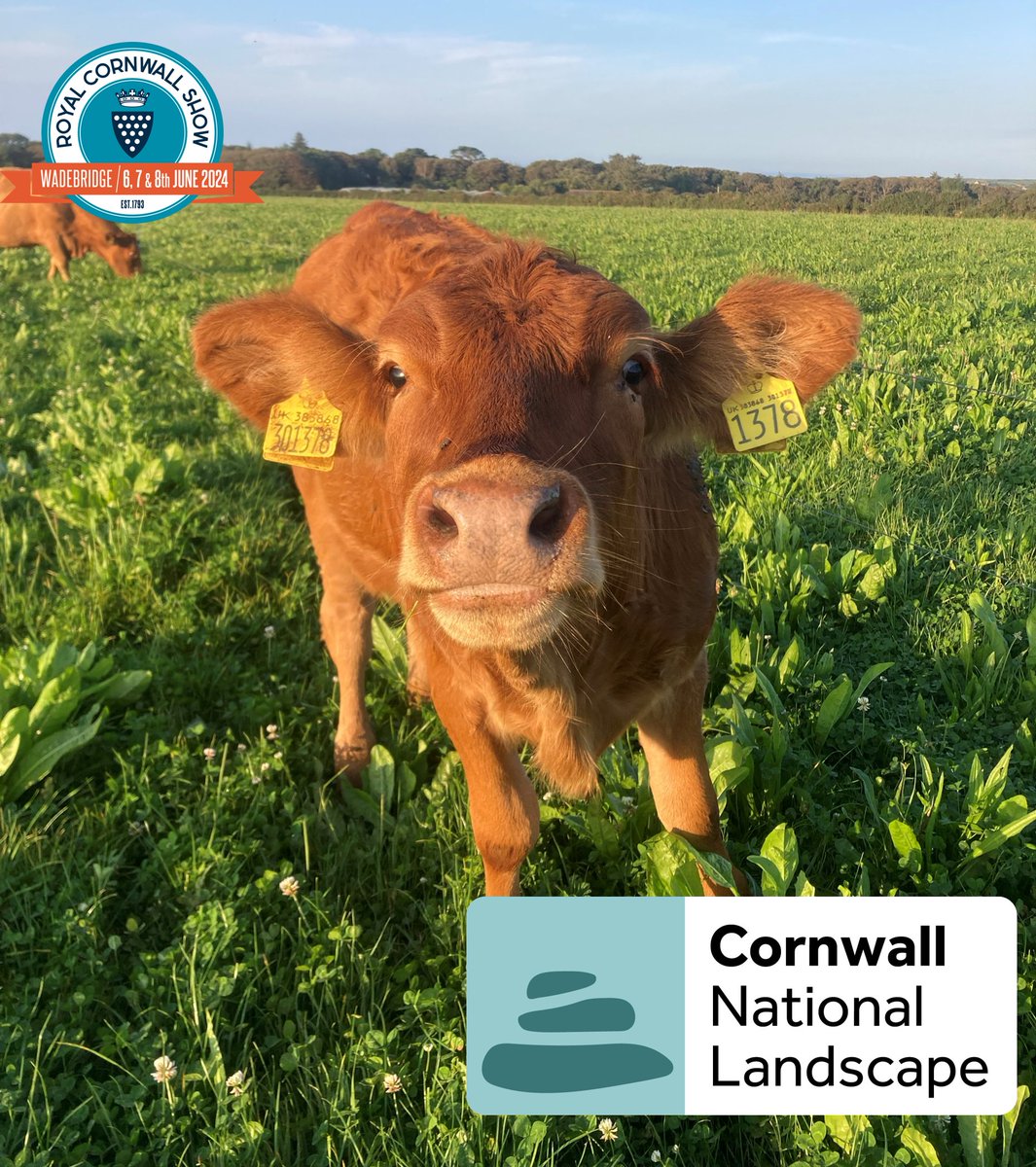 Cornwall and IoS Local Nature Partnership tweet media