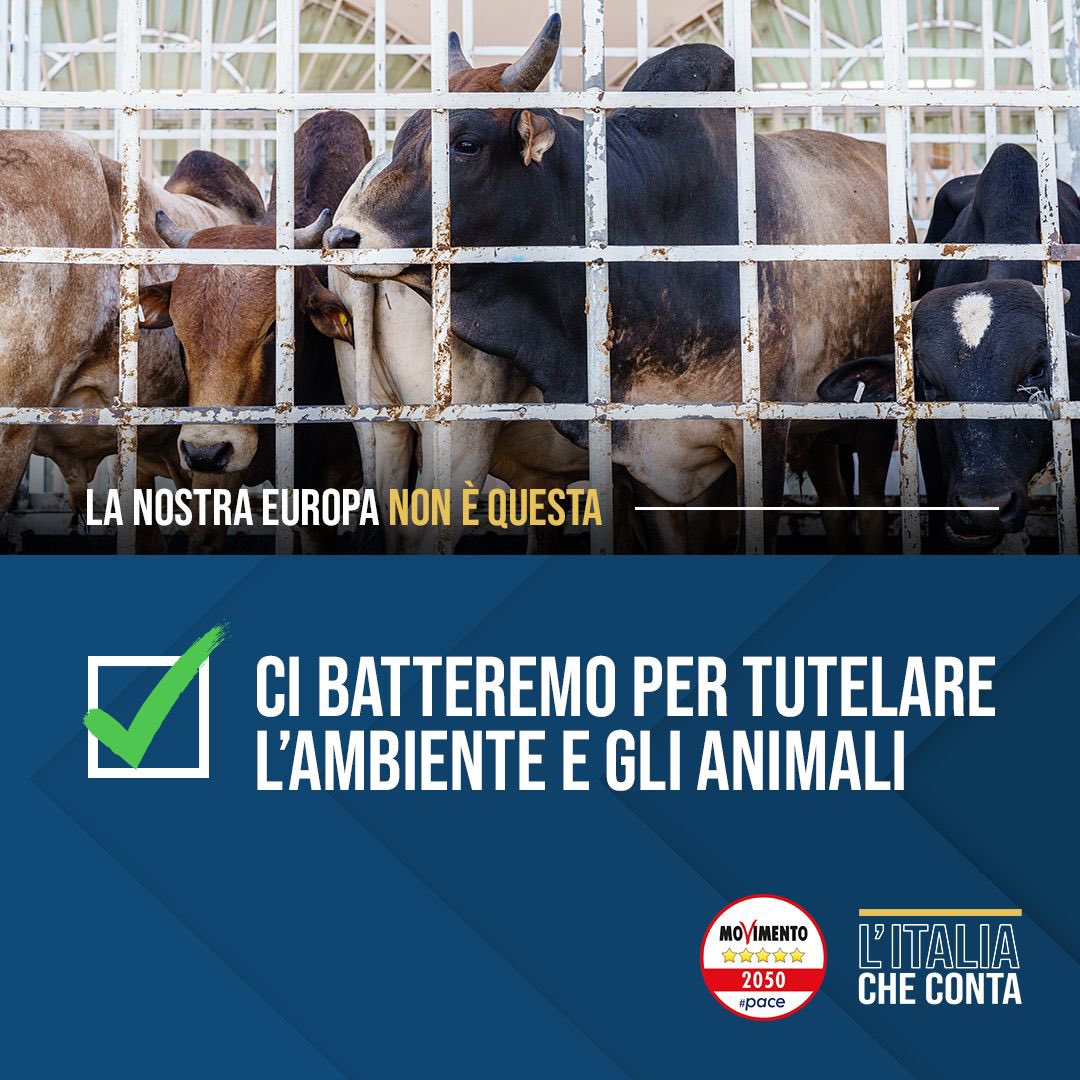 Gli animali sono esseri senzienti e dobbiamo garantirne la completa tutela su tutto il suolo europeo. L’8 e il 9 giugno vota il Movimento 5 Stelle! Continua qui ⤵️ facebook.com/share/p/RXJ8YD…