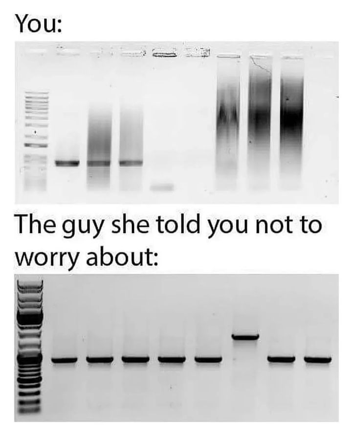 DNA_RNA_Uni's tweet photo. https://t.co/mwB73hqdqi