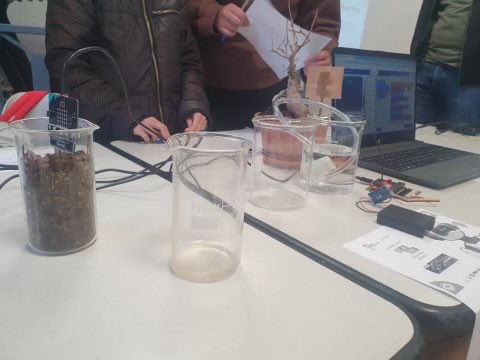 🗣️Dans le cadre du #TNE, une cinquantaine d’élèves des collèges et lycées du #Cher présentent ce matin à #Bourges le projet numérique innovant qu’ils ont réalisé dans le cadre du concours #YWC Yes We Code de la <a href="/Fond_CGenial/">Fondation CGénial</a>.
👏pour leur ingéniosité et leur créativité !