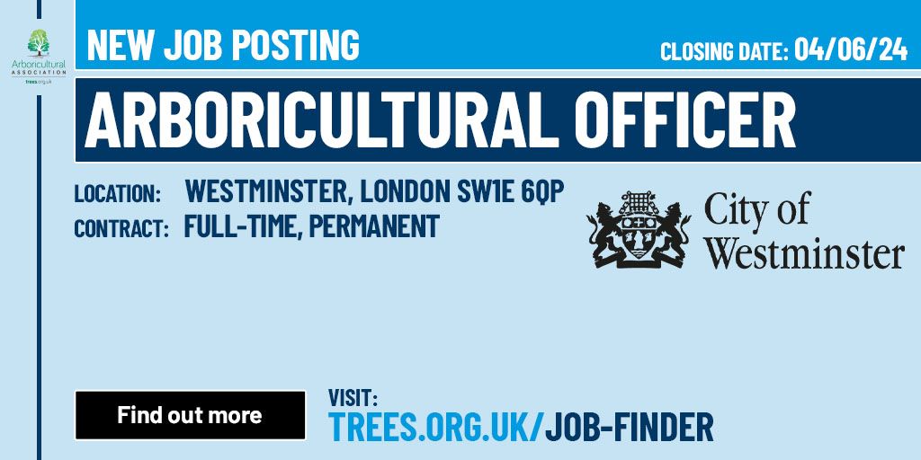 New Job Opportunity🌳 Arboricultural Officer 💼 City of Westminster 📍 Westminster, London SW1E 6QP 📃 Full-Time, Permanent View vacancy: buff.ly/3KtnVEx Check out all the Arb Job vacancies: buff.ly/424Hprh