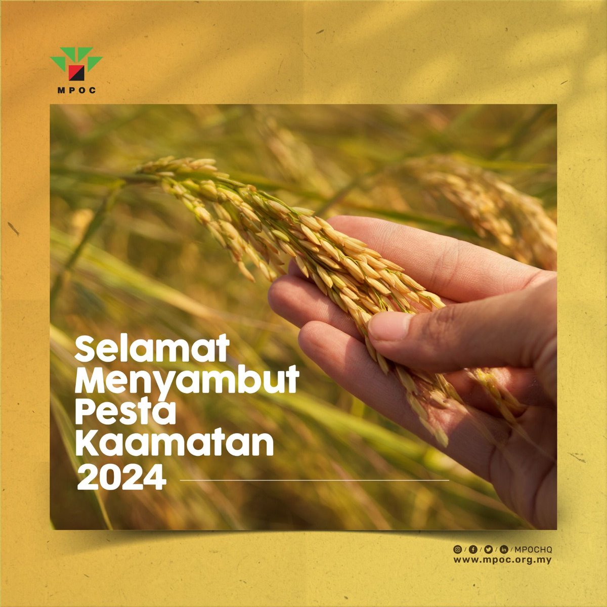Kotobian do Tadau Tagayo do Kaamatan! #MPOC would like to wish a Happy #Kaamatan to all who celebrate this joyous occasion, especially in the state of Sabah. May the festivities bring delight to you, your family, and friends. #Aramaiti #KaamatanBeyondFoodSecurity