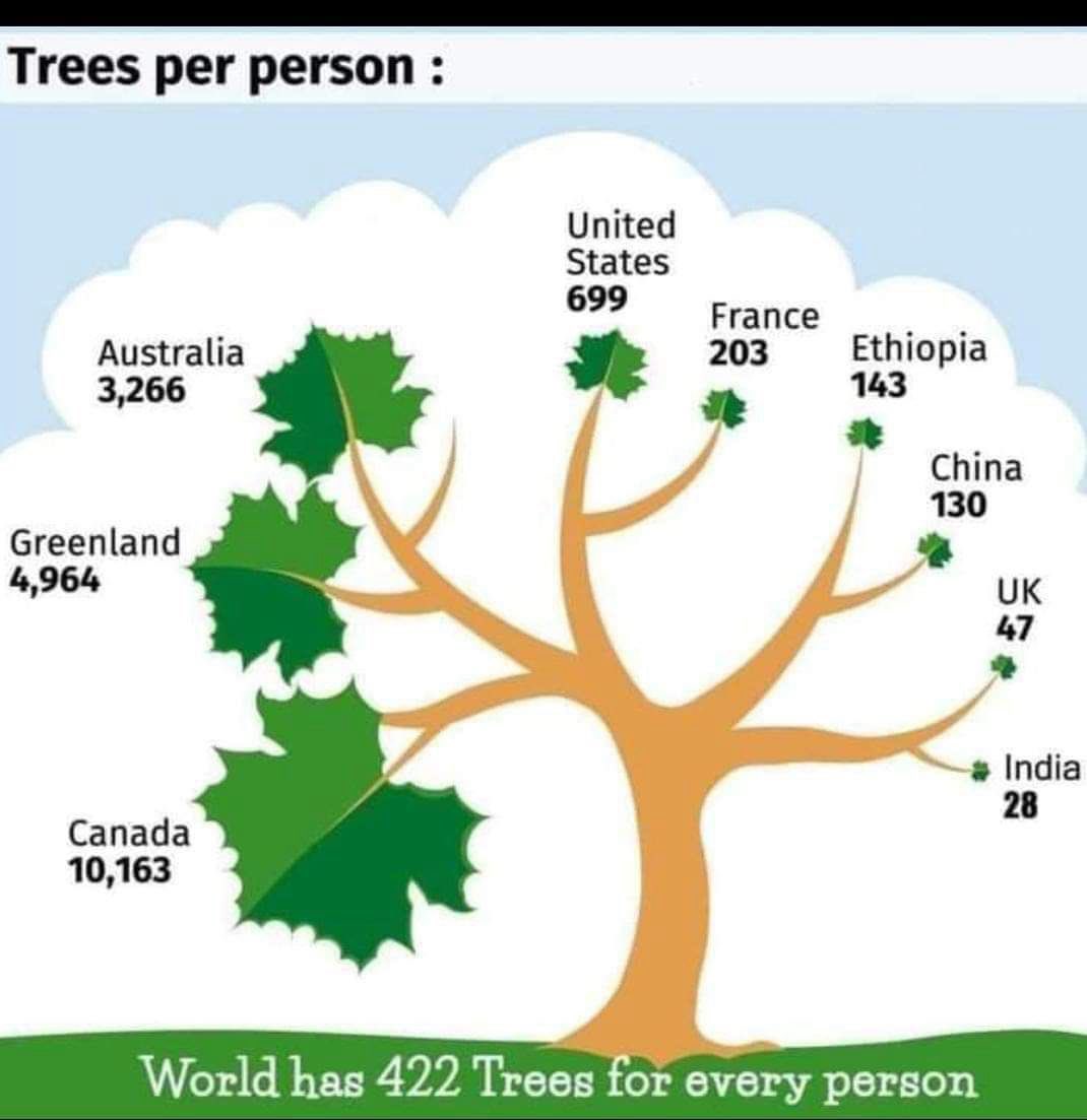 Our per capita tree count is abysmal. We need more trees. Everywhere. Towns villages cities. And no more cutting of trees for “development”. Our natural forest cover should be sacrosanct from any further felling.