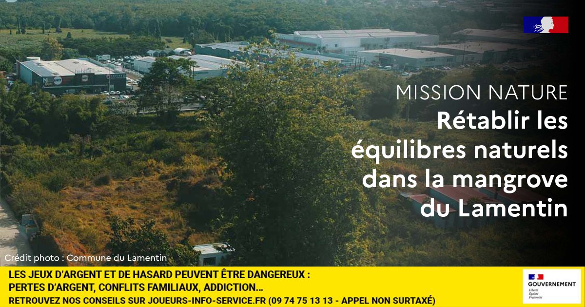 🍀 Dans le cadre du jeu de grattage #MissionNature, 21 projets de restauration de la biodiversité sont mis en œuvre

🌱 Retour sur le projet en faveur de la mangrove du Lamentin en Martinique, piloté par la commune du Lamentin

👉 ofb.gouv.fr/actualites/ret…

@FDJ