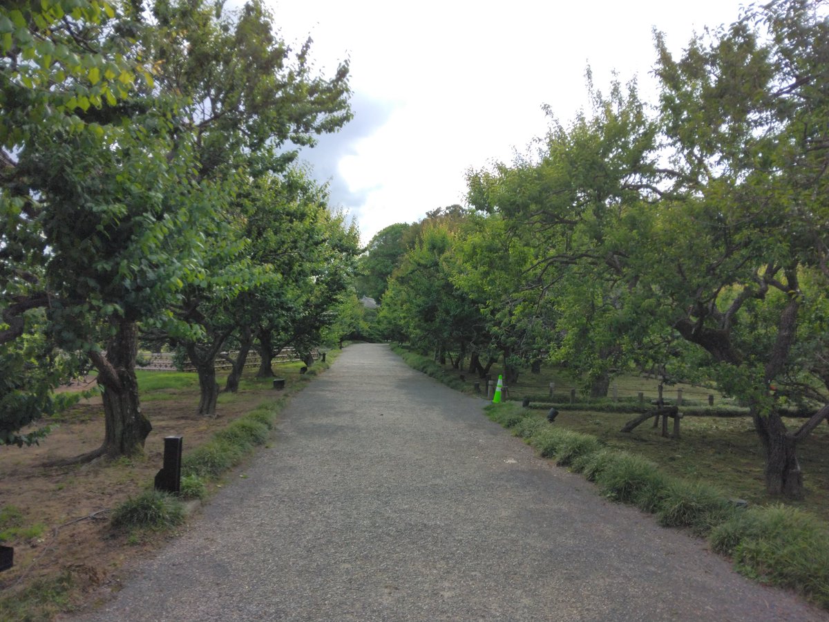 日本三名園の一つである偕楽園🌸を訪問しました☺️